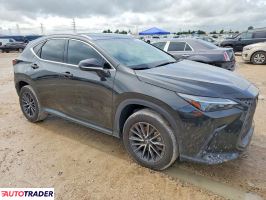 Lexus NX 2024 2