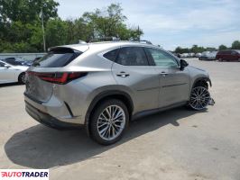 Lexus NX 2025 2