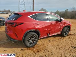 Lexus NX 2022 2