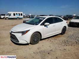Toyota Corolla 2020 1