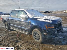 Ford Pozostałe 2024 3