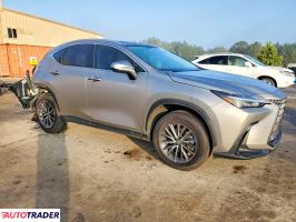 Lexus NX 2025 2