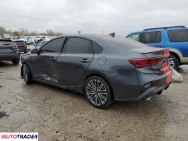 Kia Pozostałe 2024 1