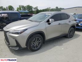 Lexus NX 2022 2 Lexus NX 2022 2