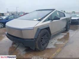 Tesla Pozostałe 2024