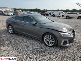 Audi A5 2024 2