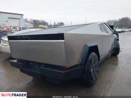 Tesla Pozostałe 2024