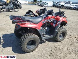 Kawasaki Brute Force 2020 Kawasaki Brute Force 2020
