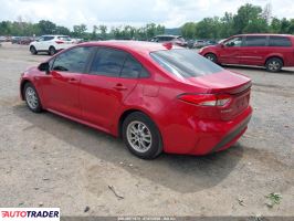 Toyota Corolla 2021 1
