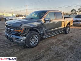 Ford Pozostałe 2024 3