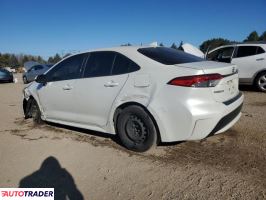 Toyota Corolla 2020 1