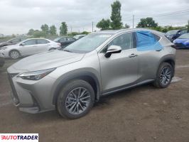 Lexus NX 2025 2 Lexus NX 2025 2