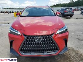 Lexus NX 2025 2 Lexus NX 2025 2