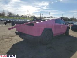 Tesla Pozostałe 2024 Tesla Pozostałe 2024