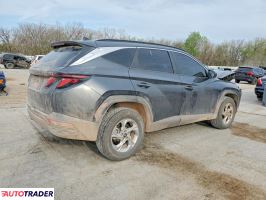 Hyundai Tucson 2024 2