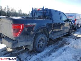 Ford Pozostałe 2022 2