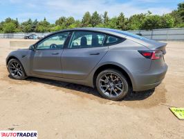 Tesla Model 3 2020