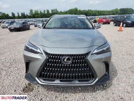 Lexus NX 2025 2