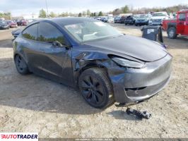 Tesla Model Y 2025