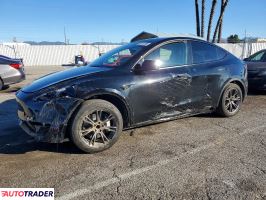Tesla Model Y 2025