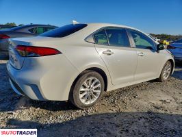 Toyota Corolla 2020 1