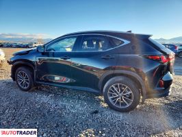 Lexus NX 2025 2