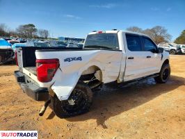 Ford Pozostałe 2024 3