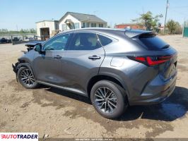 Lexus NX 2025 2