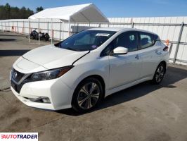 Nissan Leaf 2020 Nissan Leaf 2020