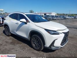 Lexus NX 2024 2