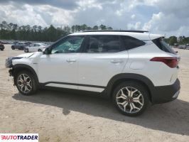 Kia Pozostałe 2021 1 Kia Pozostałe 2021 1