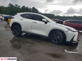 Lexus NX 2024 2