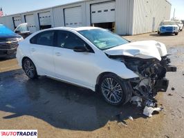 Kia Pozostałe 2024 2