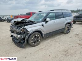 Hyundai Santa Fe 2024 2