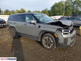 Hyundai Santa Fe 2024 2