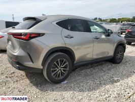 Lexus NX 2022 2