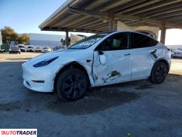 Tesla Model Y - zobacz ofertę