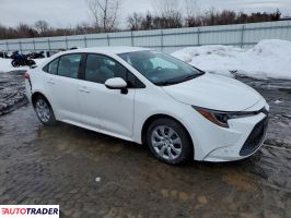 Toyota Corolla 2020 1