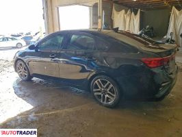 Kia Pozostałe 2019 2