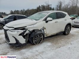 Lexus NX 2022 2