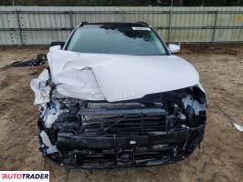 Kia Sportage 2024 2