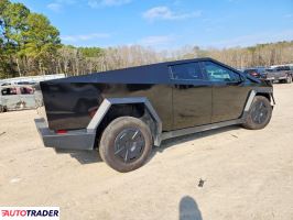 Tesla Pozostałe 2025