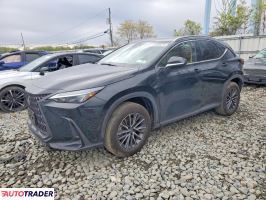 Lexus NX 2025 2