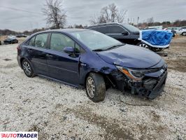 Toyota Corolla 2020 1