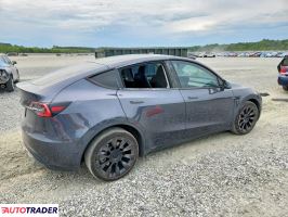 Tesla Model Y 2020