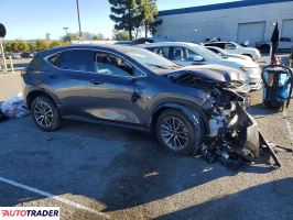 Lexus NX 2024 2
