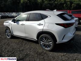 Lexus NX 2025 2