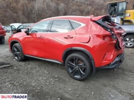 Lexus NX 2024 2