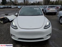 Tesla Model Y 2021 Tesla Model Y 2021