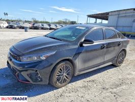 Kia Pozostałe 2024 2